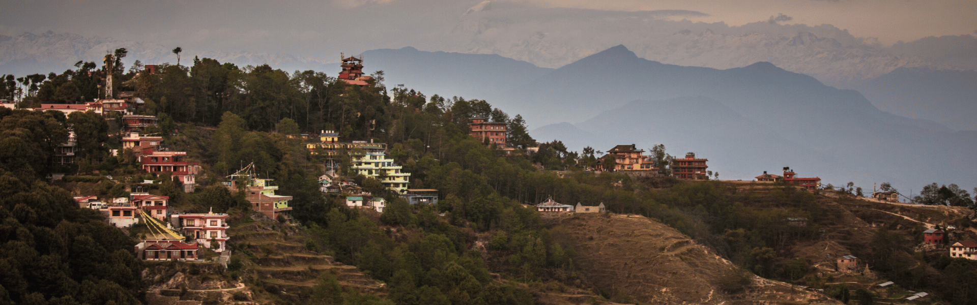 Un pas vers soi : yoga, sophrologie et nature