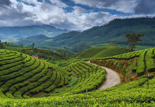 ⁠Souffle et lumière (Janvier-Février 2027) dans le sud de l’Inde