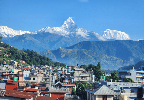 Un pas vers soi : yoga, sophrologie et nature